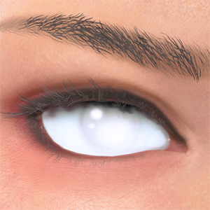 T_UI_CUS_CH_item_zbr_eye_white