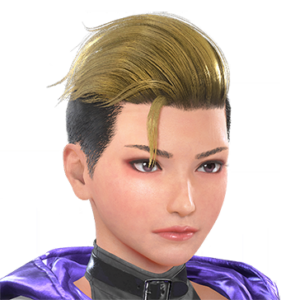 T_UI_CUS_CH_item_zbr_har_f_heroshort_2c