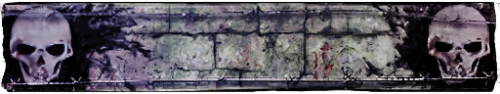 T_UI_CUS_PL_ShogoPanel_0102