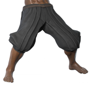 T_UI_CUS_CH_item_bbn_btm_m_ninja_lower