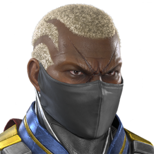 T_UI_CUS_CH_item_bbn_fah_m_kunoichi_mask
