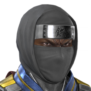 T_UI_CUS_CH_item_bbn_hed_m_ninja_hood
