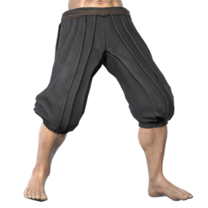 T_UI_CUS_CH_item_bsn_btm_m_ninja_lower