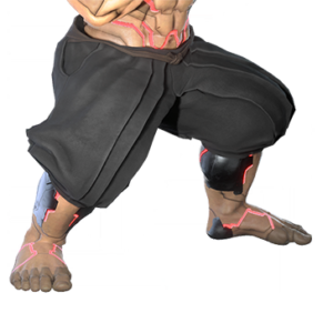 T_UI_CUS_CH_item_ccn_btm_m_ninja_lower