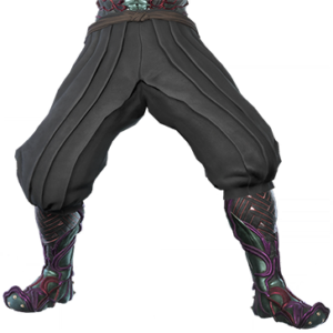 T_UI_CUS_CH_item_cml_btm_m_ninja_lower