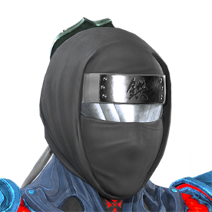 T_UI_CUS_CH_item_cml_hed_m_ninja_hood
