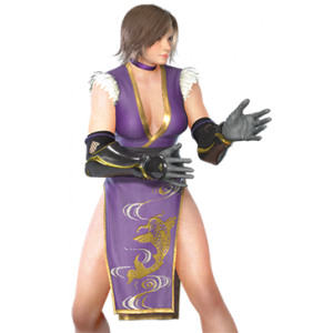 T_UI_CUS_CH_item_der_bdu_f_kunoichi_upper
