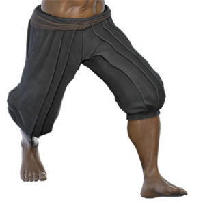T_UI_CUS_CH_item_dog_btm_m_ninja_lower