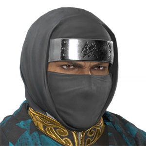 T_UI_CUS_CH_item_hrs_hed_m_ninja_hood