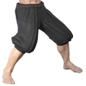 T_UI_CUS_CH_item_kmd_btm_m_ninja_lower