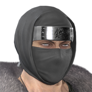 T_UI_CUS_CH_item_kmd_hed_m_ninja_hood