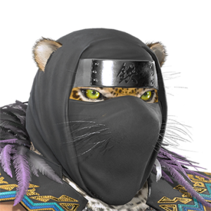 T_UI_CUS_CH_item_pgn_hed_m_ninja_hood