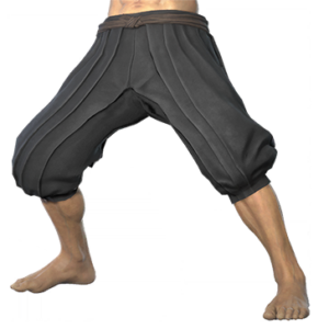 T_UI_CUS_CH_item_pig_btm_m_ninja_lower