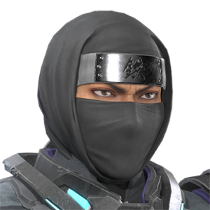 T_UI_CUS_CH_item_wlf_hed_m_ninja_hood