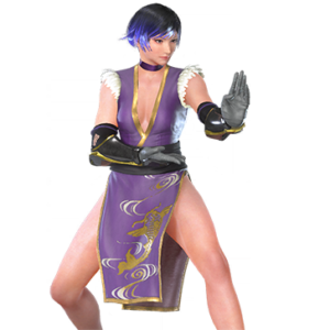 T_UI_CUS_CH_item_zbr_bdu_f_kunoichi_upper