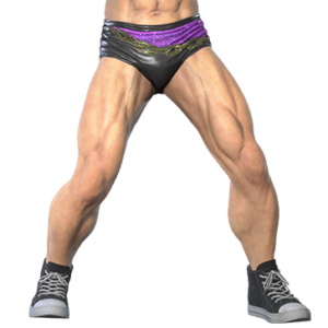 T_UI_CUS_CH_item_ant_btm_m_prowrestling