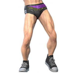 T_UI_CUS_CH_item_ctr_btm_m_prowrestling