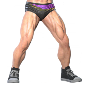 T_UI_CUS_CH_item_grf_btm_m_prowrestling