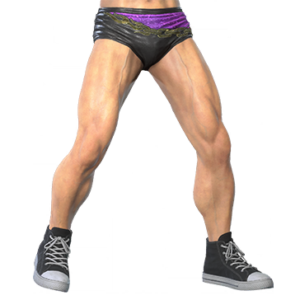 T_UI_CUS_CH_item_wlf_btm_m_prowrestling