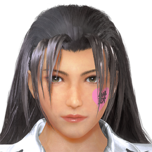 T_UI_CUS_CH_item_aml_fap_f_ironpaint