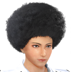 T_UI_CUS_CH_item_aml_har_f_afro