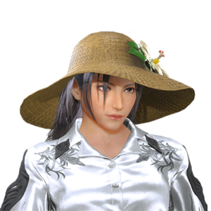 T_UI_CUS_CH_item_aml_hed_f_swimwear