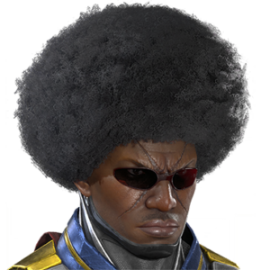 T_UI_CUS_CH_item_bbn_har_m_afro