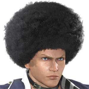 T_UI_CUS_CH_item_bsn_har_m_afro