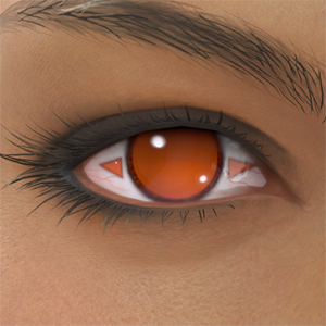 T_UI_CUS_CH_item_cat_eye_solarsymbol