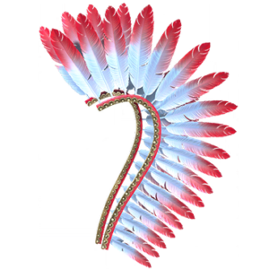 T_UI_CUS_CH_item_cbr_acc_fusaria