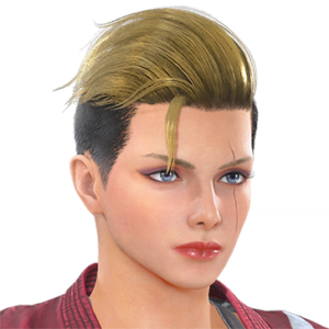 T_UI_CUS_CH_item_cbr_har_f_heroshort_2c