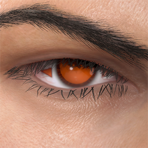 T_UI_CUS_CH_item_ctr_eye_solarsymbol