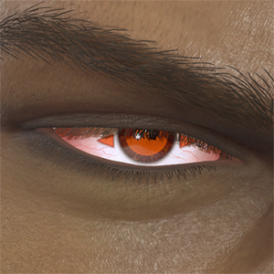 T_UI_CUS_CH_item_dog_eye_solarsymbol