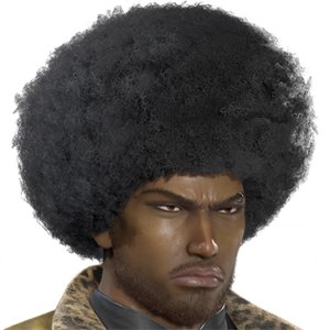 T_UI_CUS_CH_item_dog_har_m_afro