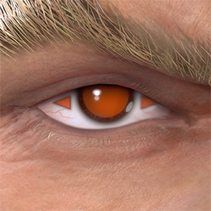 T_UI_CUS_CH_item_grf_eye_solarsymbol