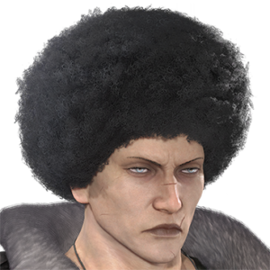 T_UI_CUS_CH_item_kmd_har_m_afro