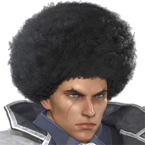 T_UI_CUS_CH_item_lzd_har_m_afro