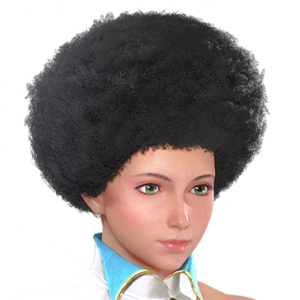 T_UI_CUS_CH_item_mnt_har_f_afro