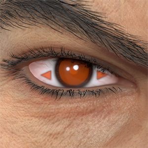 T_UI_CUS_CH_item_pig_eye_solarsymbol