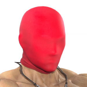 T_UI_CUS_CH_item_pig_hef_fullmask