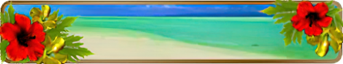 T_UI_CUS_PL_ShogoPanel_0034