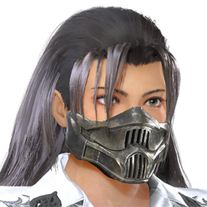 T_UI_CUS_CH_item_aml_fah_f_endbiker