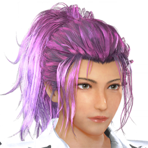 T_UI_CUS_CH_item_aml_har_f_endbiker