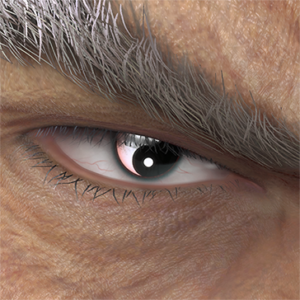 T_UI_CUS_CH_item_bee_eye_taijitu