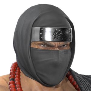 T_UI_CUS_CH_item_bee_hed_m_ninja_hood