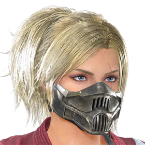 T_UI_CUS_CH_item_cbr_fah_f_endbiker