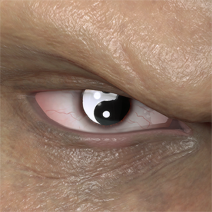 T_UI_CUS_CH_item_ccn_eye_taijitu