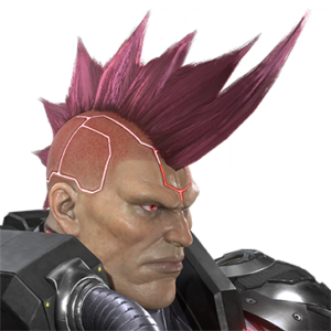 T_UI_CUS_CH_item_ccn_har_m_endbiker