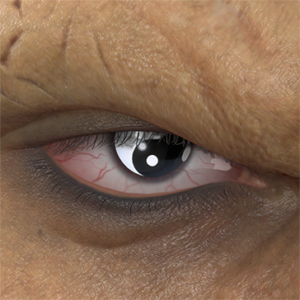 T_UI_CUS_CH_item_cht_eye_taijitu