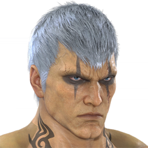 T_UI_CUS_CH_item_cht_fap_m_endbiker